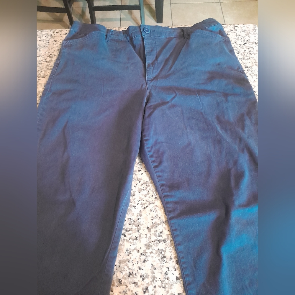 Gloria Vanderbilt slacks